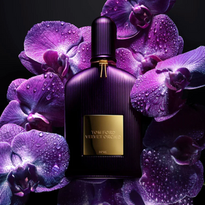 Velvet Orchid 